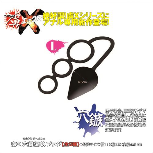 虜X 穴鏃偏執プラグL画像2