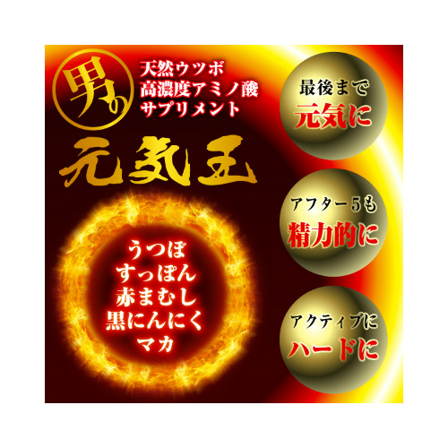 元気玉 10包入り画像2