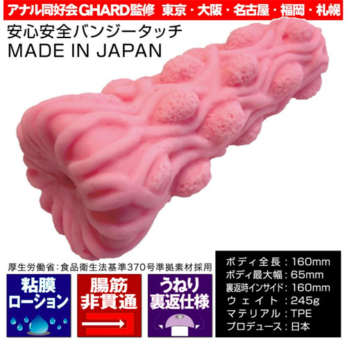 腸快感!アナル先生画像2