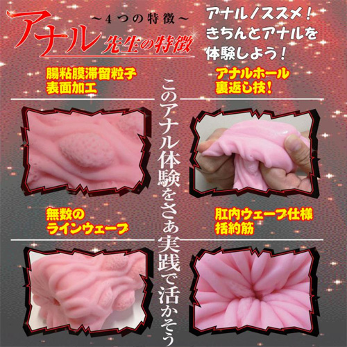 腸快感!アナル先生画像4