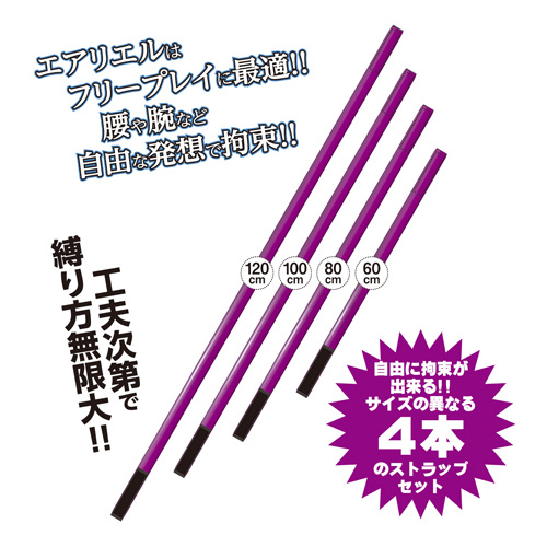 キャッスル エアリエル  フリー拘束具4本セット画像2