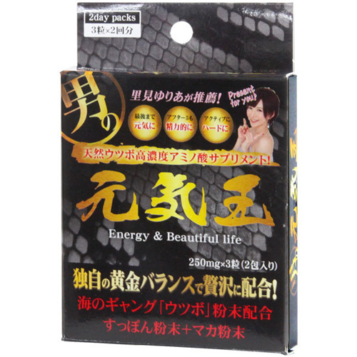 元気玉