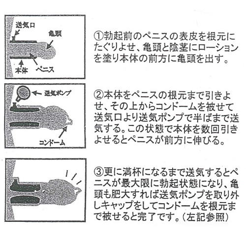 ピ・アップ スタンダード Lサイズ画像2