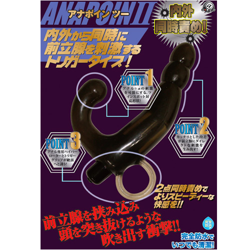 アナポインツー画像2