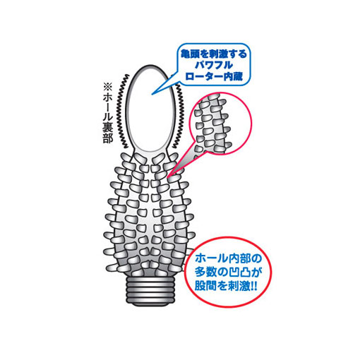 ホワイトボーイ画像4
