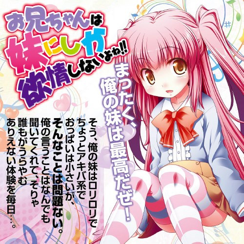 お兄ちゃんは妹にしか欲情しないよね!!画像4
