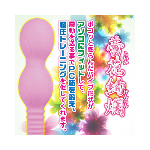 蕾花絢爛(らいかけんらん)画像3