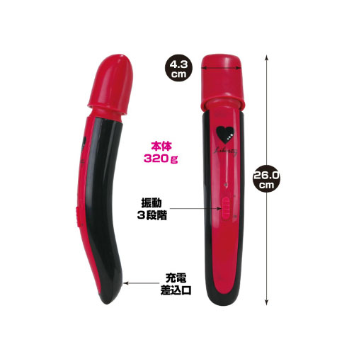 Liberty light(リバティ ライト) 充電式マッサージ器画像2