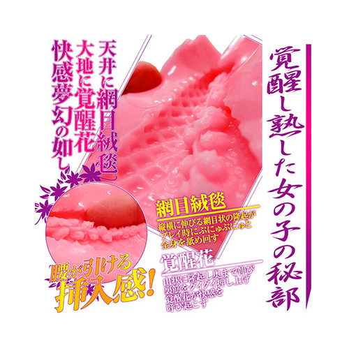 膣天メッシュ画像5