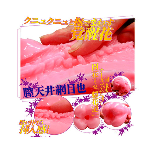 膣天メッシュ画像6