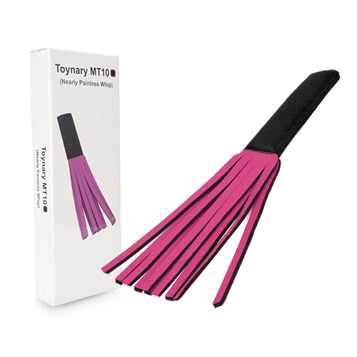Toynary MT10 Nearly Painless Whip