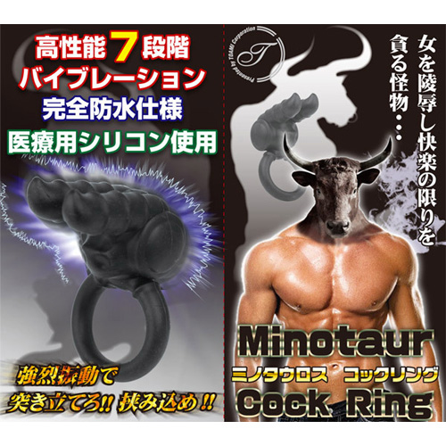 ミノタウロスコックリング画像3