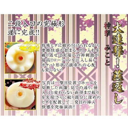 大連撃!燕返し 神撃 みこと画像3