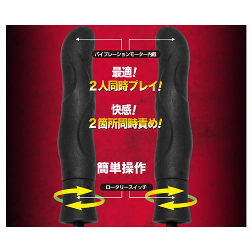 エイナス ダブルサーチ画像4