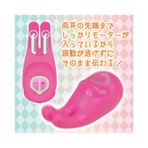 viblapine ヴィブラピーヌ画像3
