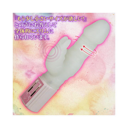 エロティックラヴァーズ シスター画像6