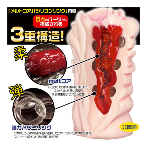 欲情ギミック画像2