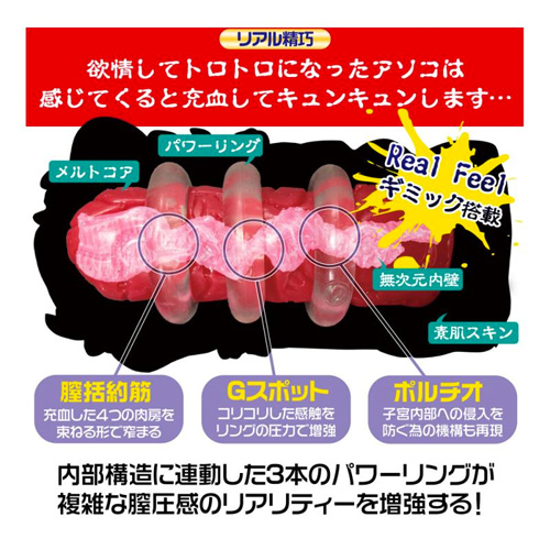 欲情ギミック画像3