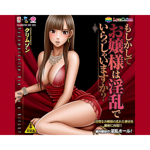 もしかしてお嬢様は淫乱でいらっしゃいますか?画像4