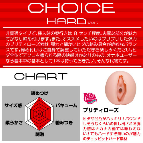 CHOICE HARD ver (チョイスハードバージョン)画像3