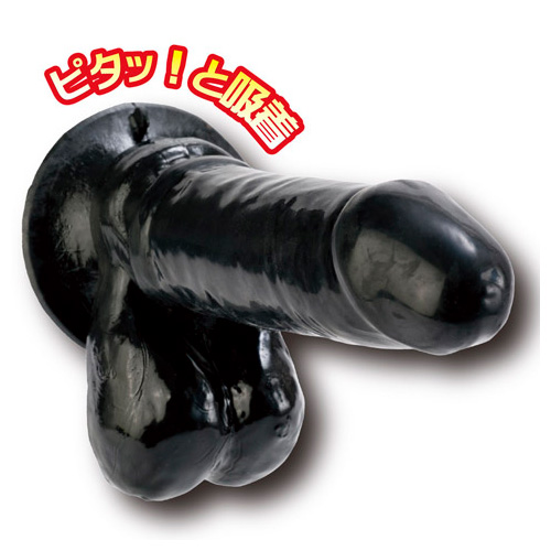 エイナス パイソン画像3