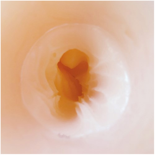 性欲発散膣口1画像3