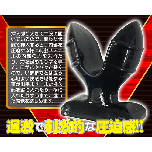 アナパッカーン画像5