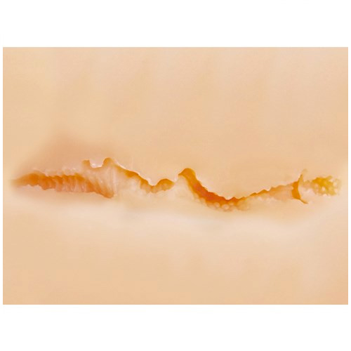 性欲発散膣口1画像4