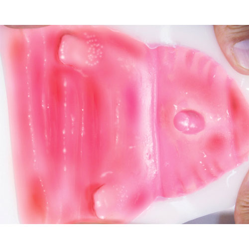 ペロペロペーロ画像4