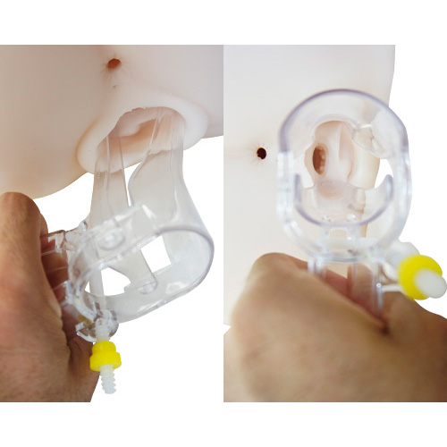 MEDY no.6 プラスチックビーク Mサイズ画像6