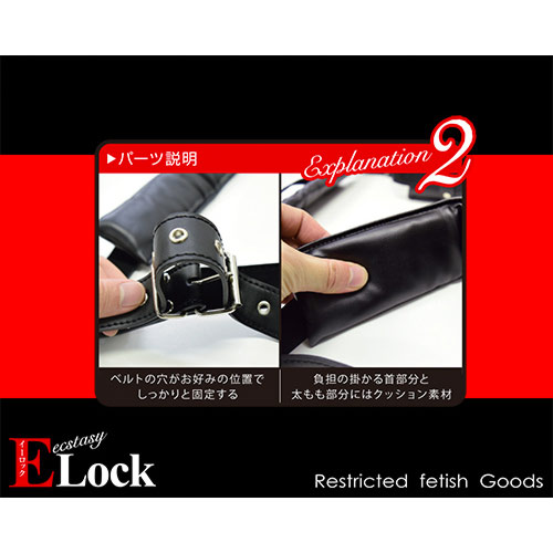 Elock イーロック M字開脚枷画像4