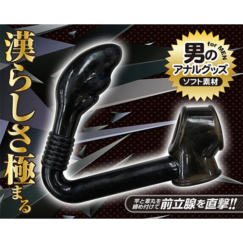 アナクローザー ウイングス画像4