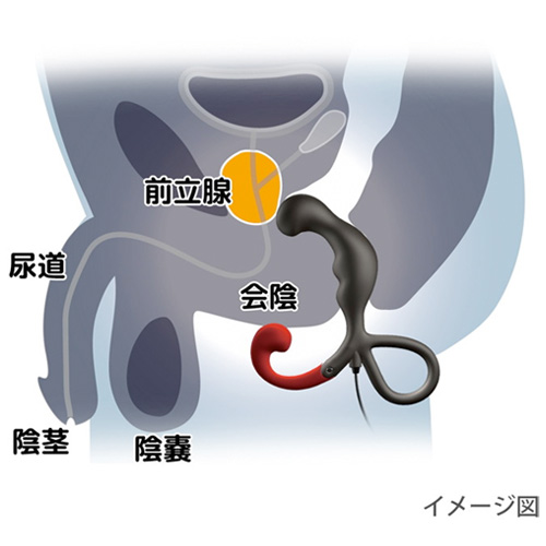 ENEMABLE Type-2画像7