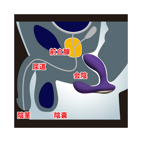 LELO HUGO ヒューゴ ディープローズ画像3