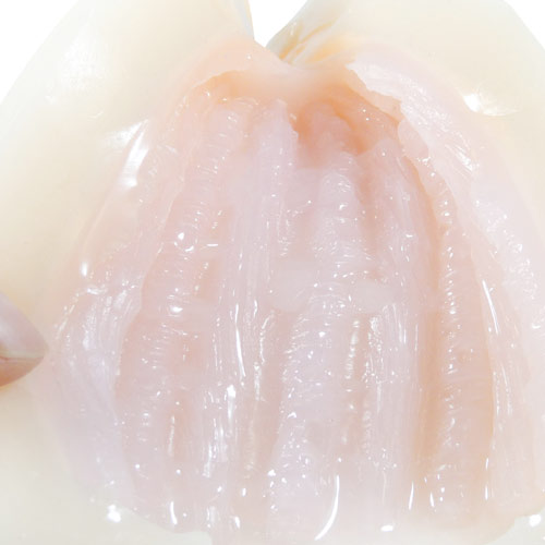 ギャップ二層構造を採用！それは本当の意味での新感覚　ダブル椿の憂鬱画像5