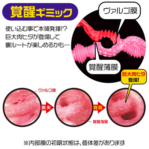 4種類の素材から生成された極上のリアル精巧ホール　ラビアンローゼズ La vie en ROSES画像5
