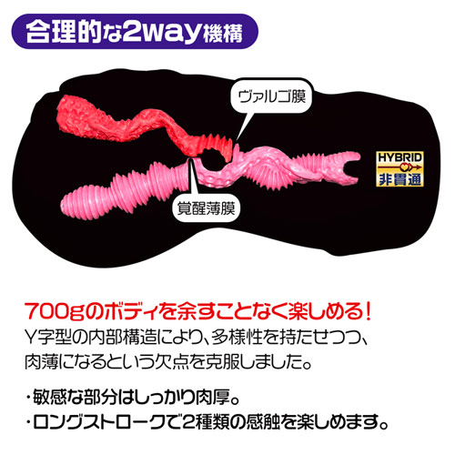 4種類の素材から生成された極上のリアル精巧ホール　ラビアンローゼズ La vie en ROSES画像4
