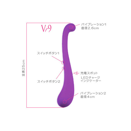 両端を使えるダブルモーターバイブ　ヴァニティ Vr9画像3