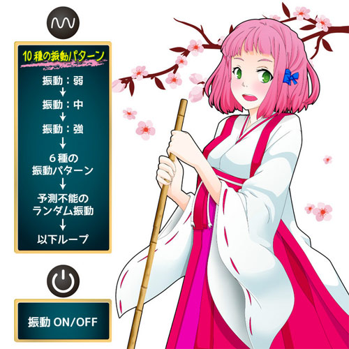 チェリーブーム ブロードビーンズ画像3