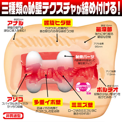 壁尻画像7