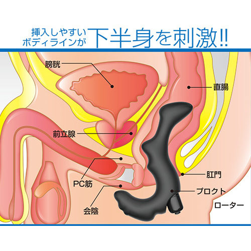 プロクト フィット画像2
