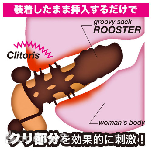 グルービーサック ルースター画像4