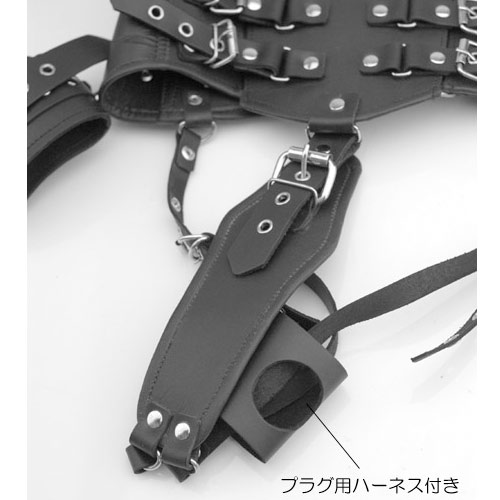 ロックウエストシンチャー画像4