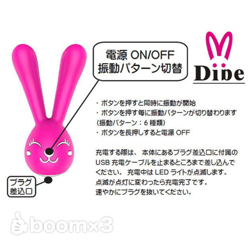 Dibe Nancy(ナンシー)画像5