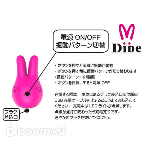 Dibe Nelly(ネリー)画像5