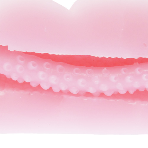 あやとりめしべ画像3