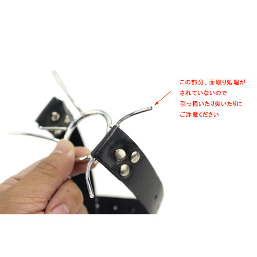 Spider Gag（スパイダーギャグ）画像4
