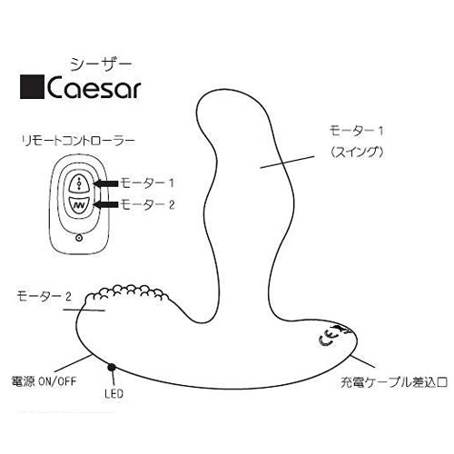 LEVETT Caesar (レヴェット シーザー)画像5
