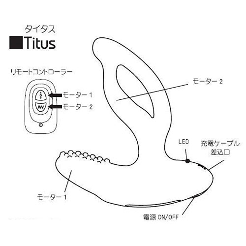 LEVETT Funmates Titus (レヴェット ファンメイト タイタス)画像7