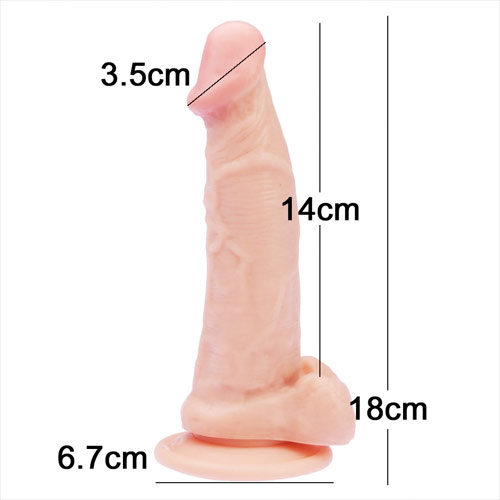 ペニックスバンド画像3